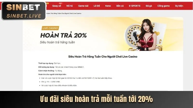 Hoàn trả hàng ngày 28ta